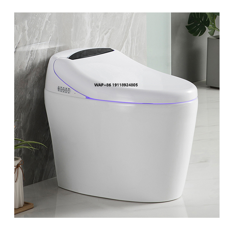 Home Bathroom Ware - WC Intelligente di Alta Gamma con