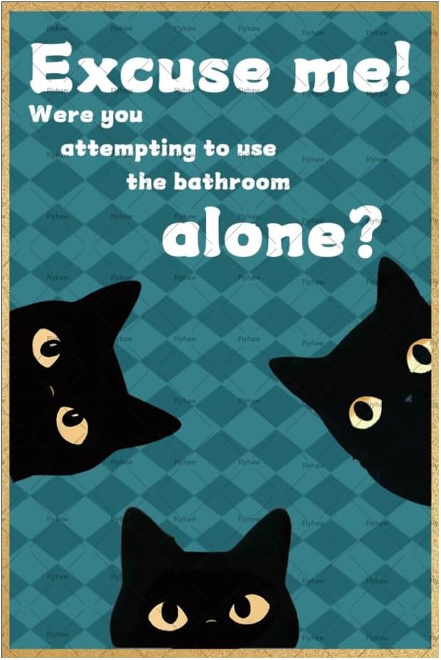 Home Alone Bathroom - Scusa, stavi provando a usare il