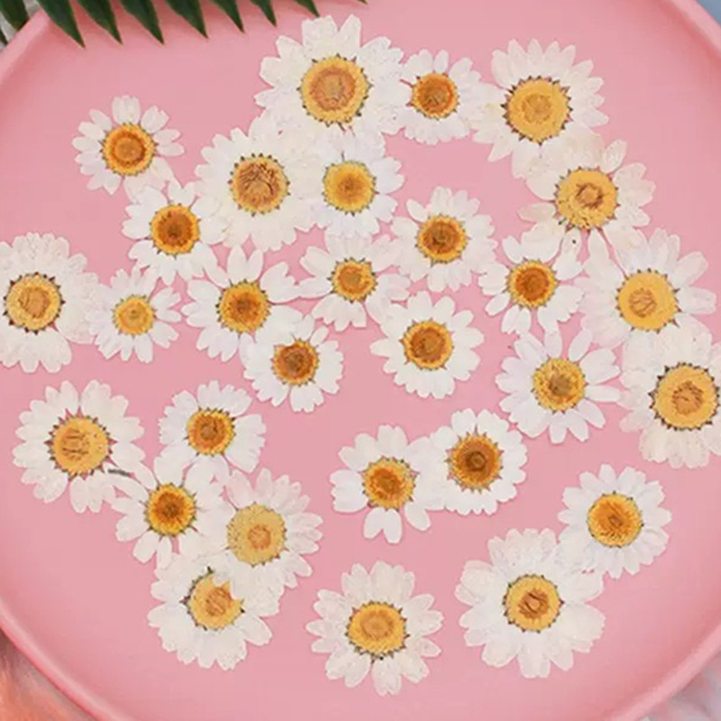 Home Bathroom Set - 100 Pezzi di Fiori Secchi Naturali
