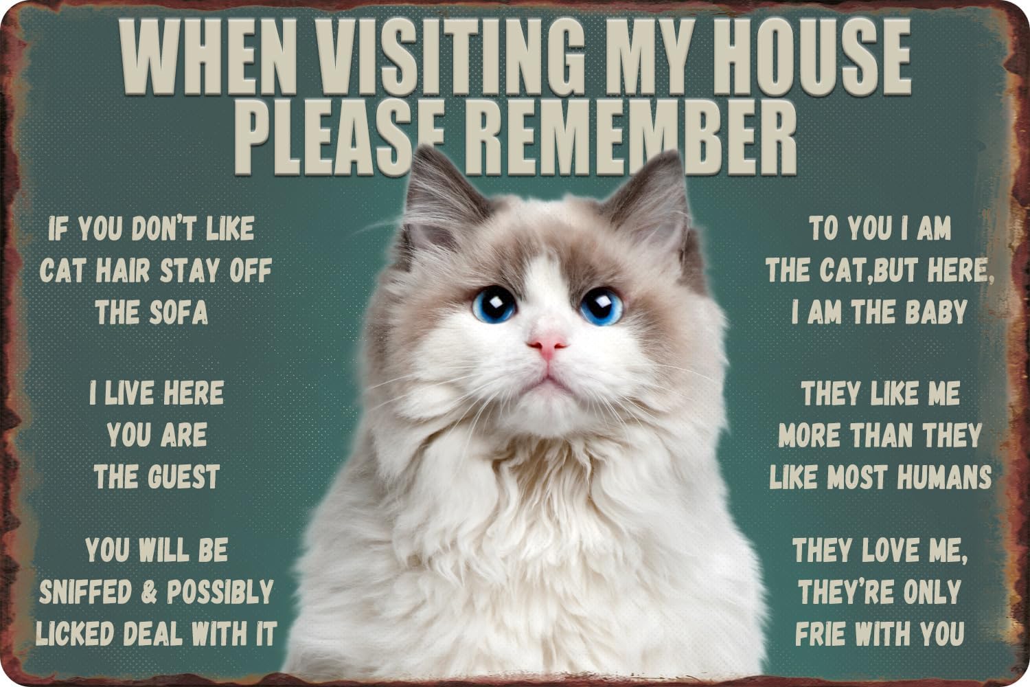Bathroom Home Visit - Divertente Targa in Metallo con Gatto