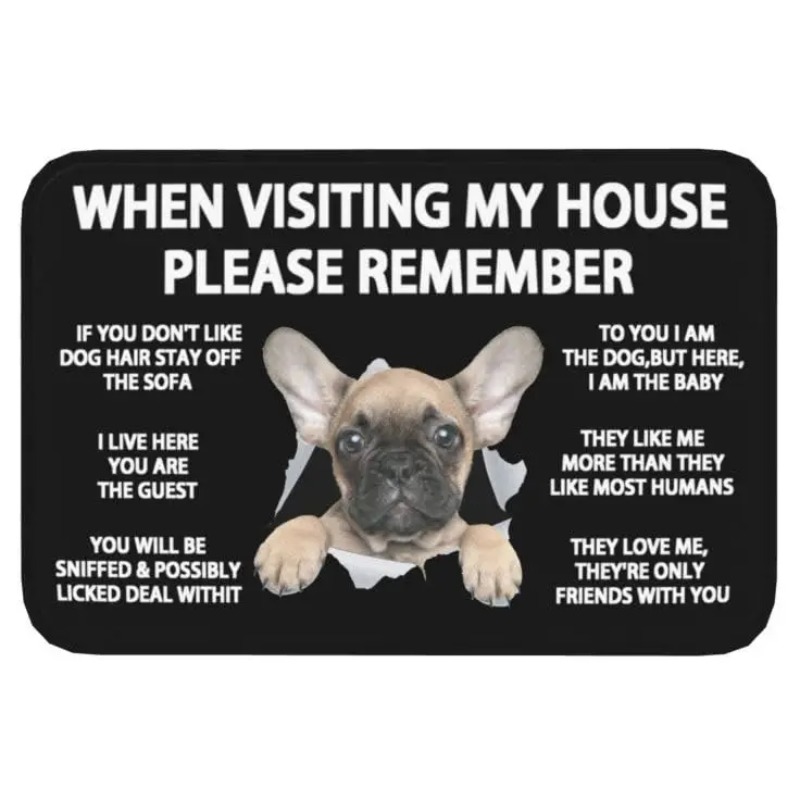 Zerbino per animali domestici  - Bathroom Home Visit recensione e prezzo