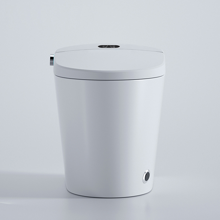 WC intelligente moderno con di - Home Bathroom Ware recensione e prezzo
