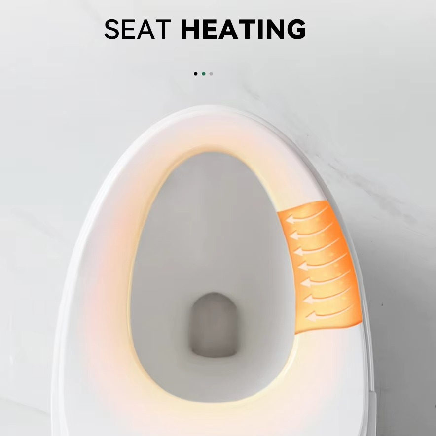 WC Intelligente di Alta Gamma  - Home Bathroom Ware recensione e prezzo