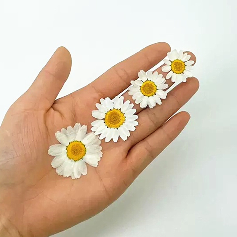 100 Pezzi di Fiori Secchi Natu - Home Bathroom Set recensione e prezzo
