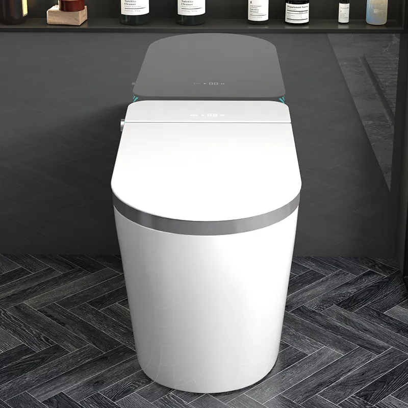 WC Intelligente Monoblocco in  - Home Bathroom Ware recensione e prezzo