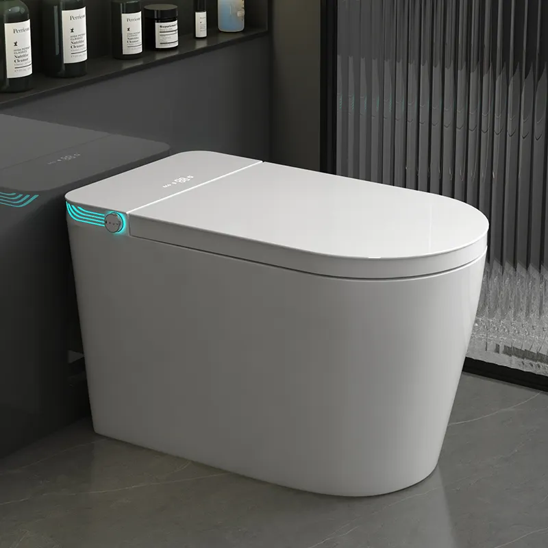 WC Intelligente Monoblocco in  - Home Bathroom Ware recensione e prezzo