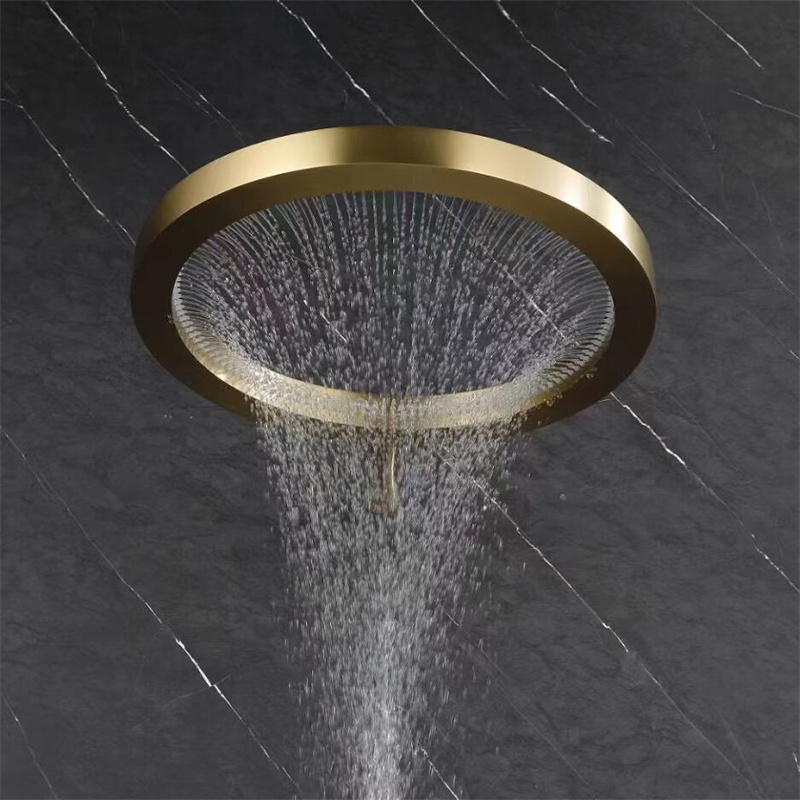 Aggiorna il soffione doccia ad - Home Bathroom Upgrades recensione e prezzo