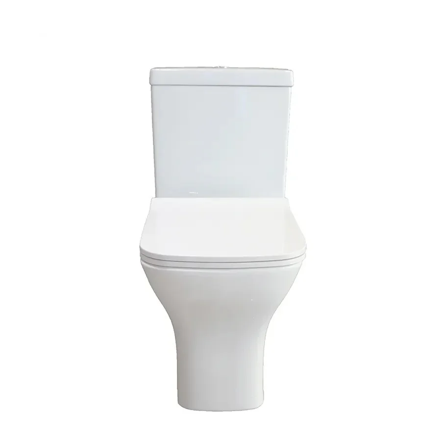 z Cina sanitari ciotole per WC - Home Bathroom Ware recensione e prezzo