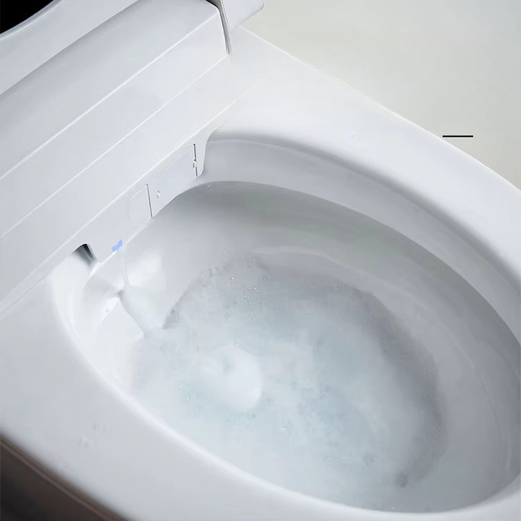 WC Intelligente di Alta Qualit - Home Bathroom Ware recensione e prezzo