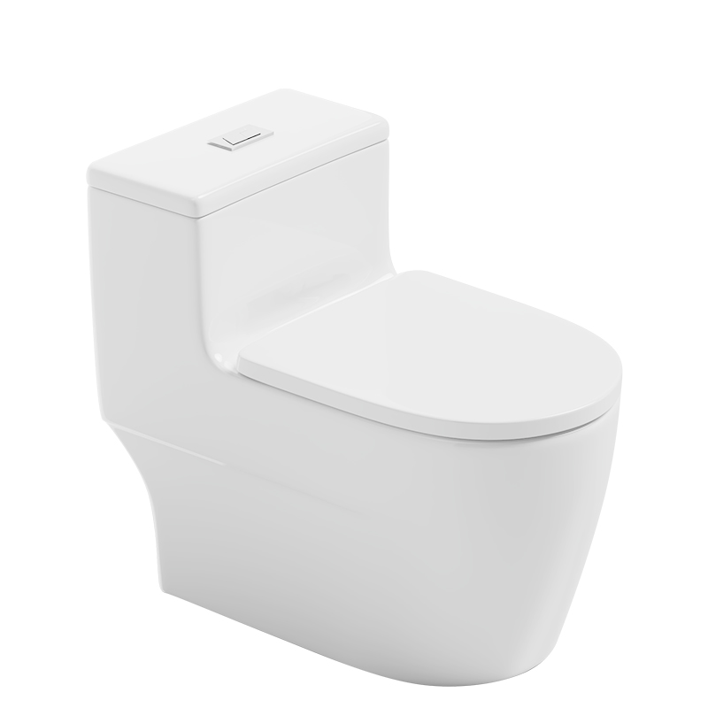 WC in Ceramica Moderno a Doppi - Home Bathroom Ware recensione e prezzo