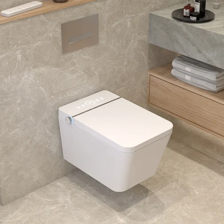 WC Intelligente Sospeso con Co - Home Bathroom Ware recensione e prezzo