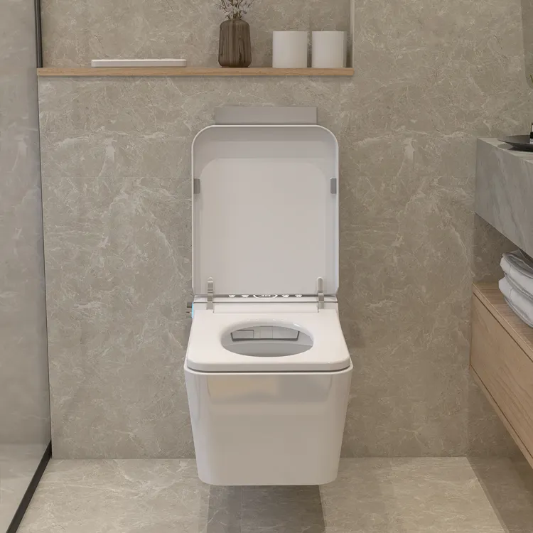 WC Intelligente Sospeso con Co - Home Bathroom Ware recensione e prezzo